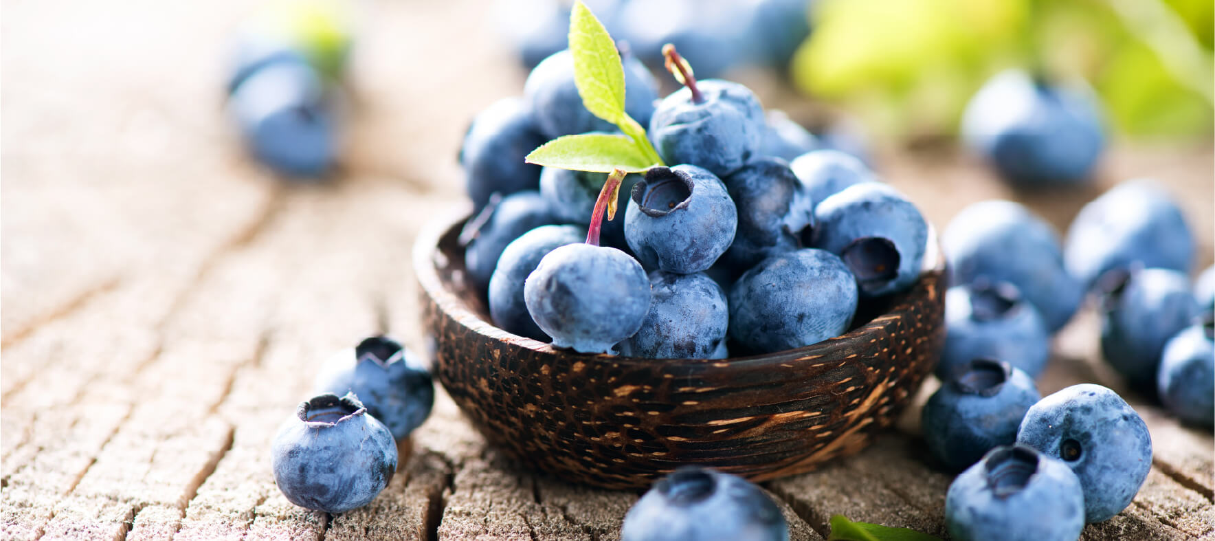 bg-blueberries2