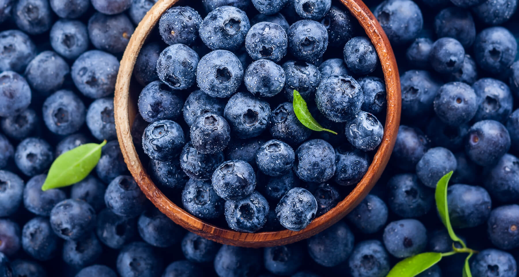 bg-blueberries3